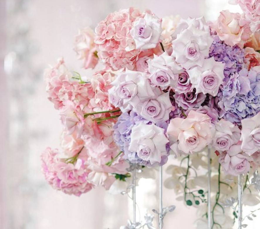 PhiLinh Wedding - tone tím hồng pastel